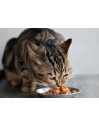 Patè e Bocconcini per gatto | BricoFARM Copertino